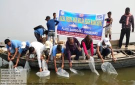 गंगा नदी में हिलसा मछली के संरक्षण और पुनर्स्थापन हेतु रैंचिंग :  एक मिशन मोड दृष्टिकोण