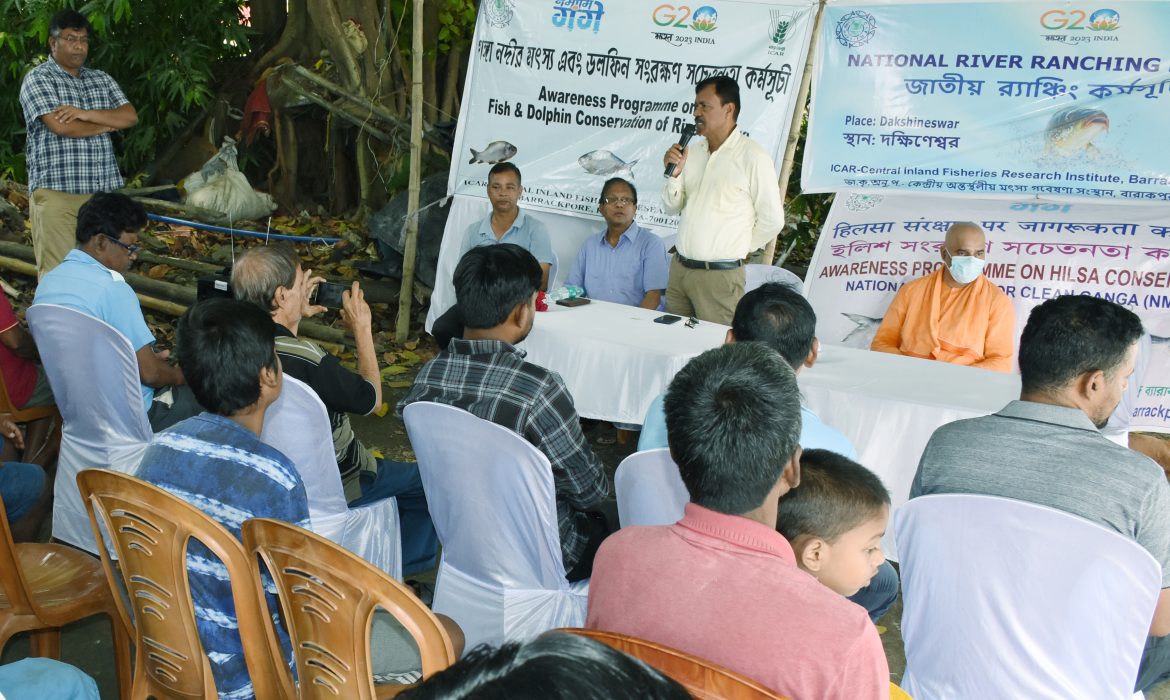 आईसीएआर- सिफ़री ने पश्चिम बंगाल में 2.5 लाख  भारतीय मेजर कार्प छोड़ा